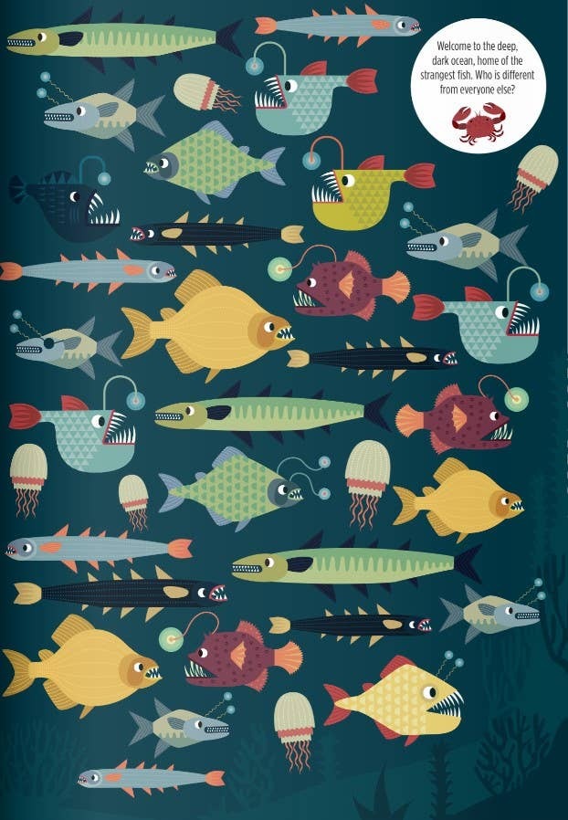 Activity Book - Find Me! Ocean